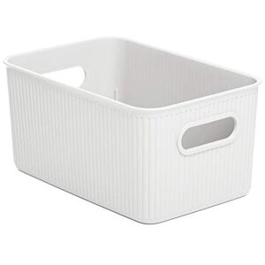 TATAY Plastový úložný box Baobab 5 l organizér box integrované rukojeti kompaktní a univerzální design recyklovaný plast bez BPA 18,1 x 27,2 x 13 cm, bílý TATAY Plastový úložný box Baobab 5 l organizér box integrované rukojeti kompaktní a univerzální design recyklovaný plast bez BPA 18,1 x 27,2 x 13 cm, bílý