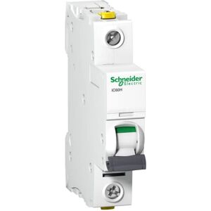 Schneider Electric Leitungsschutzschalter Acti9 iC60H, 1-polig, 10A, B-Charakteristik, 10kA, 15kA, Artikelnummer A9F06110, 1 Stück Schneider Electric Leitungsschutzschalter Acti9 iC60H, 1-polig, 10A, B-Charakteristik, 10kA, 15kA, Artikelnummer A9F06110, 1 Stück