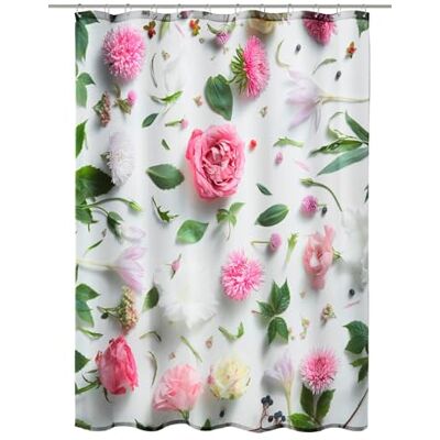 Kleine Wolke Rosalie Kleine Wolke Rosalie