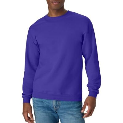 Hanes Pánská mikina (balení 1 ks), fialová, 3XL Hanes Pánská mikina (balení 1 ks), fialová, 3XL