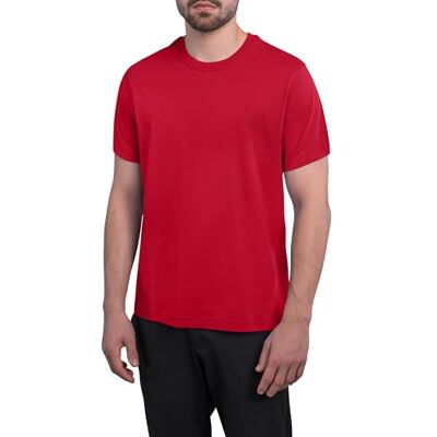 HRM Pánské luxusní Roundneck Tee Premium pánské tričko s kulatým výstřihem ze 100% biobavlny základní tričko lze prát do 60 °C Vysoce kvalitní a udržitelné pánské oblečení, červená HRM Pánské luxusní Roundneck Tee Premium pánské tričko s kulatým výstřihem ze 100% biobavlny základní tričko lze prát do 60 °C Vysoce kvalitní a udržitelné pánské oblečení, červená