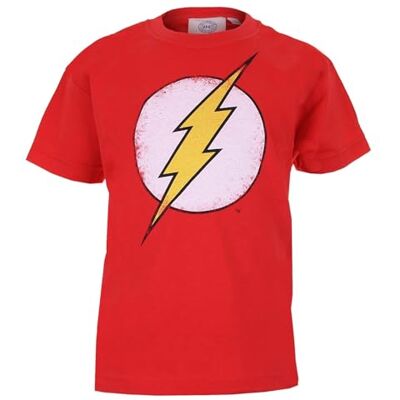 DC Comics chlapce Distressed Flash Logo pro Boys tričko XL (velikost výrobce: XL) červená DC Comics chlapce Distressed Flash Logo pro Boys tričko XL (velikost výrobce: XL) červená