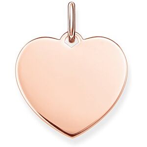 THOMAS SABO Přívěsek srdce velký 925 sterlingové stříbro LBPE0017, Ušlechtilý kov, není k dispozici THOMAS SABO Přívěsek srdce velký 925 sterlingové stříbro LBPE0017, Ušlechtilý kov, není k dispozici
