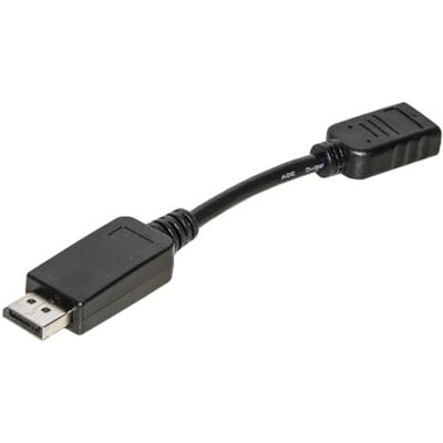 LINK lkadat20 Adapter DisplayPort männlich zu HDMI weiblich 4 Kx2 K LINK lkadat20 Adapter DisplayPort männlich zu HDMI weiblich 4 Kx2 K