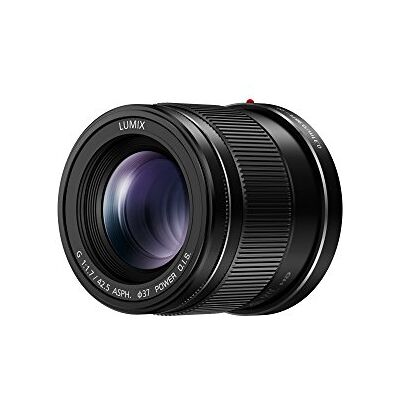 Panasonic H-HS043E LUMIX G objektiv 42,5 mm/F1. 7 ASPH.; optický stabilizátor obrazu; černý Panasonic H-HS043E LUMIX G objektiv 42,5 mm/F1. 7 ASPH.; optický stabilizátor obrazu; černý