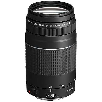 Canon Teleobjektiv EF 75-300mm F4.0-5.6 III pro EOS (58mm filtrační vlákno, autofokus) černý Canon Teleobjektiv EF 75-300mm F4.0-5.6 III pro EOS (58mm filtrační vlákno, autofokus) černý