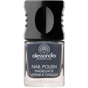 Alessandro Lak na nehty 76 New York Grey, 10 ml Alessandro Lak na nehty 76 New York Grey, 10 ml