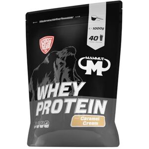 Mammut Nutrition Whey Protein prášek karamel krém – 1 kg – 27 g proteinu na porci – bílkovinový prášek s vysokým podílem BCAA – perfektní rozpustnost ve vodě a mléce – ideální svačina Mammut Nutrition Whey Protein prášek karamel krém – 1 kg – 27 g proteinu na porci – bílkovinový prášek s vysokým podílem BCAA – perfektní rozpustnost ve vodě a mléce – ideální svačina