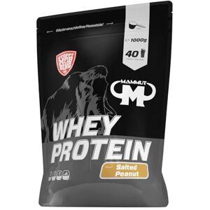 Mammut Nutrition Whey Protein prášek Salted Peanut – 1 kg – 27 g proteinu na porci – bílkovinový prášek s vysokým podílem BCAA – perfektní rozpustnost ve vodě a mléce – ideální svačina Mammut Nutrition Whey Protein prášek Salted Peanut – 1 kg – 27 g proteinu na porci – bílkovinový prášek s vysokým podílem BCAA – perfektní rozpustnost ve vodě a mléce – ideální svačina