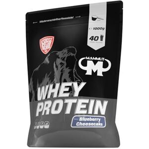 Mammut Nutrition Whey Protein prášek Blueberry Cheesecake – 1 kg – 27 g proteinu na porci – bílkovinový prášek s vysokým podílem BCAA – perfektní rozpustnost ve vodě a mléce – ideální svačina Mammut Nutrition Whey Protein prášek Blueberry Cheesecake – 1 kg – 27 g proteinu na porci – bílkovinový prášek s vysokým podílem BCAA – perfektní rozpustnost ve vodě a mléce – ideální svačina