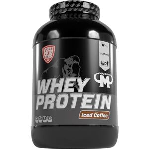 Mammut Whey Protein Iced Coffee 3000 g dóza Mammut Whey Protein Iced Coffee 3000 g dóza