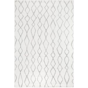 Andiamo Tkaný koberec Bolonia vzor moderní Öko-Tex 100 koberec, polypropylen, šedý ornament, 120 x 170 cm Andiamo Tkaný koberec Bolonia vzor moderní Öko-Tex 100 koberec, polypropylen, šedý ornament, 120 x 170 cm