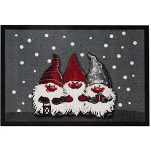 Hanse Home Printy rohožka do interiéru i exteriéru 40 x 60 cm rohožka k zachycování nečistot Christmas Dwarfes s motivem trpaslíků omyvatelná a odolná proti povětrnostním vlivům, protiskluzová pro Hanse Home Printy rohožka do interiéru i exteriéru 40 x 60 cm rohožka k zachycování nečistot Christmas Dwarfes s motivem trpaslíků omyvatelná a odolná proti povětrnostním vlivům, protiskluzová pro