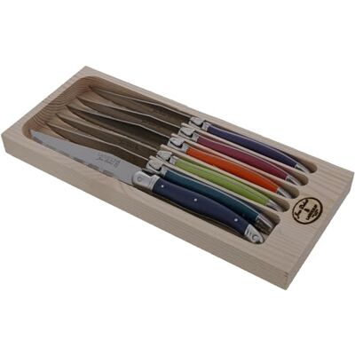 Jean Dubost Laguiole 97131 London Mix Set aus 6 Fleischmessern, Sortierte Farbe Jean Dubost Laguiole 97131 London Mix Set aus 6 Fleischmessern, Sortierte Farbe