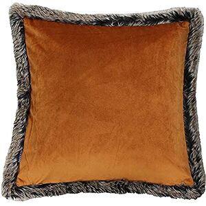 Paoletti Kiruna místo povlak na polštář Rust Orange Faux Velvet Look and Feel Faux kožešinový lem oboustranný skrytý zip 100% polyester 45 x 45 cm (18" x 18" palců) Made By Riva Paoletti Kiruna místo povlak na polštář Rust Orange Faux Velvet Look and Feel Faux kožešinový lem oboustranný skrytý zip 100% polyester 45 x 45 cm (18" x 18" palců) Made By Riva