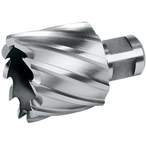 Ruko Terrax jádrový vrták HSS 20 mm Weldon Ruko Terrax jádrový vrták HSS 20 mm Weldon