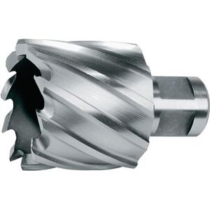 Ruko Vrták HSS s dříkem Weldon (3/4 palce) průměr 35 mm hloubka řezu 30 mm Ruko Vrták HSS s dříkem Weldon (3/4 palce) průměr 35 mm hloubka řezu 30 mm