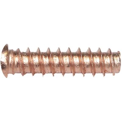 GYS 049420 Gewindebolzen-Ø 5 x 18 mm-verkupfert-100 Stück GYS 049420 Gewindebolzen-Ø 5 x 18 mm-verkupfert-100 Stück