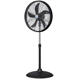 Westinghouse Stojanový ventilátor Lighting 7271540 Yucon I 50 cm pro vnitřní použití, 120 W, 230 V, matná černá/chrom, 135 cm Westinghouse Stojanový ventilátor Lighting 7271540 Yucon I 50 cm pro vnitřní použití, 120 W, 230 V, matná černá/chrom, 135 cm