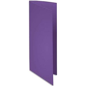 Exacompta CLAIREFONTAINE 800008E Box 100 Unterordner, lila Exacompta CLAIREFONTAINE 800008E Box 100 Unterordner, lila