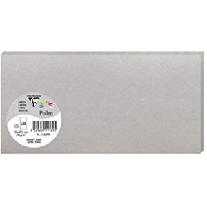 Clairefontaine Balení 11589C s 25 kartami ve formátu DL, 210 g 106 x 213 mm, stříbro Clairefontaine Balení 11589C s 25 kartami ve formátu DL, 210 g 106 x 213 mm, stříbro