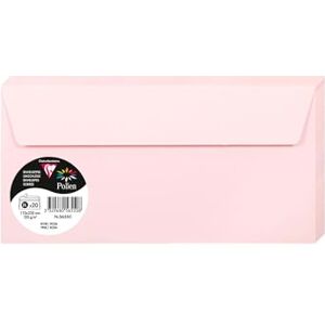 Clairefontaine 5655C balení s 20 obálkami pylu, formát DL, 110 x 220 mm, 120 g, ideální pro pozvánky a korespondenci, růžová, 1 balení Clairefontaine 5655C balení s 20 obálkami pylu, formát DL, 110 x 220 mm, 120 g, ideální pro pozvánky a korespondenci, růžová, 1 balení
