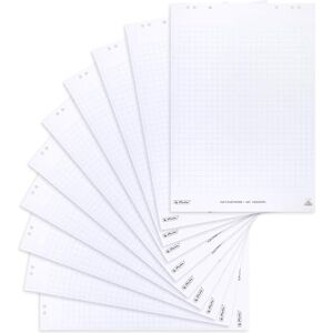 Herlitz Papír na flipcharty, kostkovaný, s 20 listy na jednom bloku, položený plochý, 6násobné děrování, 10 kusů Herlitz Papír na flipcharty, kostkovaný, s 20 listy na jednom bloku, položený plochý, 6násobné děrování, 10 kusů