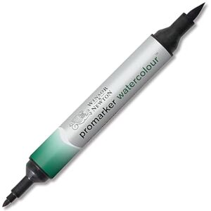 Winsor & Newton 0201312 akvarelové zvýrazňovače – 2 hroty, štětec a jemný hrot, stálý na světle, vysoce pigmentované akvarelové barvy pro kaligrafii, kresby – Hooker's zelená tmavá Winsor & Newton 0201312 akvarelové zvýrazňovače – 2 hroty, štětec a jemný hrot, stálý na světle, vysoce pigmentované akvarelové barvy pro kaligrafii, kresby – Hooker's zelená tmavá