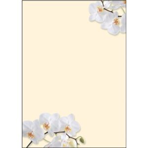 Sigel DP904 papír s motivem "White Orchid", dopisní papír 90 g, DIN A4, 50 listů, z udržitelného papíru Sigel DP904 papír s motivem "White Orchid", dopisní papír 90 g, DIN A4, 50 listů, z udržitelného papíru