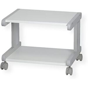 ROLINE RS PRO Stojan na tiskárnu, max. zatížení 30 kg, 2 regály, Š 510 mm, V 380 mm, H 440 mm kov ROLINE RS PRO Stojan na tiskárnu, max. zatížení 30 kg, 2 regály, Š 510 mm, V 380 mm, H 440 mm kov