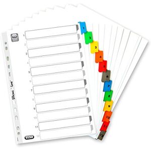 Elba 100204616 intercalaires mensuels, en carton Mylar, en couleur Elba 100204616 intercalaires mensuels, en carton Mylar, en couleur