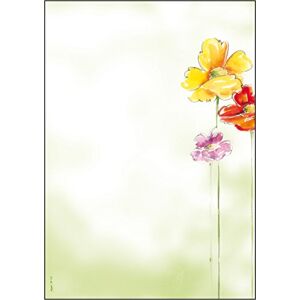 Sigel DP123 papír s motivem "Spring Flowers", DIN A4, 90 g/m², 50 listů, z udržitelného papíru Sigel DP123 papír s motivem "Spring Flowers", DIN A4, 90 g/m², 50 listů, z udržitelného papíru