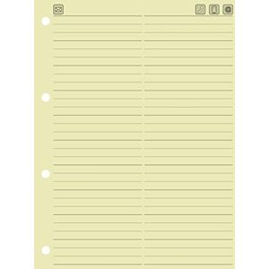 BRUNNEN 1064347 Vložka pro klíčový telefonní rejstřík (149 x 212 mm) kamzík, 1 ks (10 ks) BRUNNEN 1064347 Vložka pro klíčový telefonní rejstřík (149 x 212 mm) kamzík, 1 ks (10 ks)