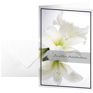 Sigel DS006 smuteční karty bílé amaryllis, sada 10 kusů s obálkou bez textu, ideální pro potisk, z udržitelného papíru Sigel DS006 smuteční karty bílé amaryllis, sada 10 kusů s obálkou bez textu, ideální pro potisk, z udržitelného papíru