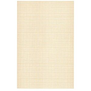 Clairefontaine 196555AMZC Set mit 2 Packungen Milimeterpapier, 2 x 15 Blatt, Weiß, DIN A4, 21x29,7cm, 90g, 2 Pack Clairefontaine 196555AMZC Set mit 2 Packungen Milimeterpapier, 2 x 15 Blatt, Weiß, DIN A4, 21x29,7cm, 90g, 2 Pack
