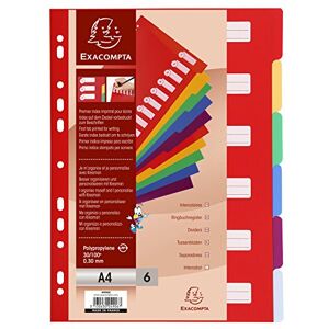 Exacompta Prémiový registr 4906E pro DIN A4 z trvanlivého plastu, 6dílný, plná výška 21 × 29,7 cm, neprůhledný, 6 barev s organizačním potiskem na první straně, oddělovací listy Exacompta Prémiový registr 4906E pro DIN A4 z trvanlivého plastu, 6dílný, plná výška 21 × 29,7 cm, neprůhledný, 6 barev s organizačním potiskem na první straně, oddělovací listy