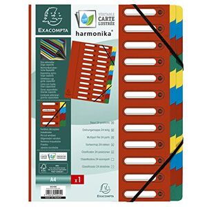 Exacompta 55245E Premium pořadač Harmonika. Z extra silného kartonu Colorspan, DIN A4, 24 přihrádek a 2 gumičky s indexovým okénkem a pružnou zadní stranou, desky na registry, červená Exacompta 55245E Premium pořadač Harmonika. Z extra silného kartonu Colorspan, DIN A4, 24 přihrádek a 2 gumičky s indexovým okénkem a pružnou zadní stranou, desky na registry, červená