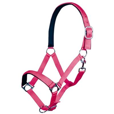 HKM SPORTS EQUIPMENT Halfter -Stars Softice-, měkká podložka, růžová, studená krev HKM SPORTS EQUIPMENT Halfter -Stars Softice-, měkká podložka, růžová, studená krev