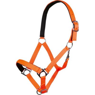 HKM Stars Softice Halfter Neon One Size HKM Stars Softice Halfter Neon One Size
