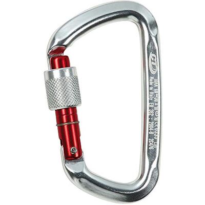 Climbing Technology D-Shape SG Carabiner silver/reed gate 2017 Karabiner Climbing Technology D-Shape SG Carabiner silver/reed gate 2017 Karabiner