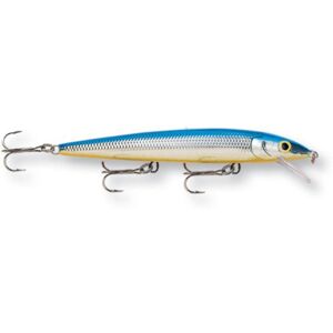 Rapala Husky Jerk 10 rybářských návnad (stříbromodrá, velikost 4), stříbrná, modrá Rapala Husky Jerk 10 rybářských návnad (stříbromodrá, velikost 4), stříbrná, modrá