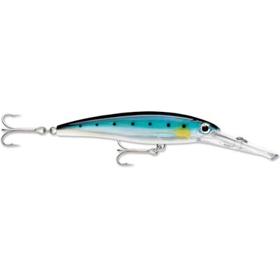 Rapala X-Rap MAG 16CM BSRD Rapala X-Rap MAG 16CM BSRD