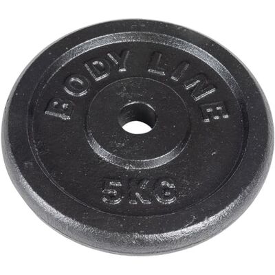 Bodyline 5 kg těžký kotouč z litiny pro dlouhé činky, krátké činky a vzpírání — průměr 25 mm – pro fitness studio, fitness, domácí trénink Bodyline 5 kg těžký kotouč z litiny pro dlouhé činky, krátké činky a vzpírání — průměr 25 mm – pro fitness studio, fitness, domácí trénink