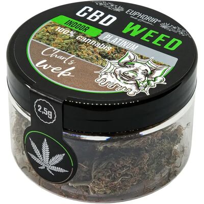Euphoria Cbd Weed Platinum Greedy Pig - 2,5 G Euphoria Cbd Weed Platinum Greedy Pig - 2,5 G