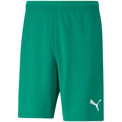 Pánske teamRISE Short M 704942 05 - Puma L Pánske teamRISE Short M 704942 05 - Puma L