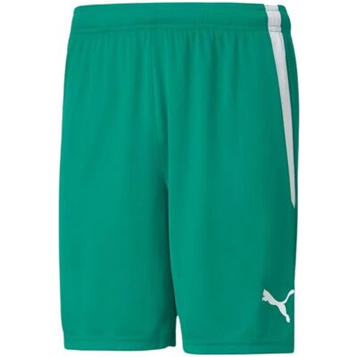 Šortky Puma teamLiga M 704924 05 XL Šortky Puma teamLiga M 704924 05 XL