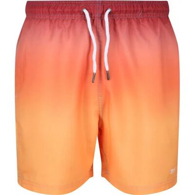 Pánske plavecké šortky Loras Swim Short 4JC orange - Regatta S oranžová Pánske plavecké šortky Loras Swim Short 4JC orange - Regatta S oranžová