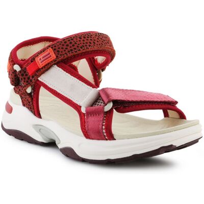 D.Franklin Tenisky Sandal Strips W DFSH406003-Burg EU 37 D.Franklin Tenisky Sandal Strips W DFSH406003-Burg EU 37
