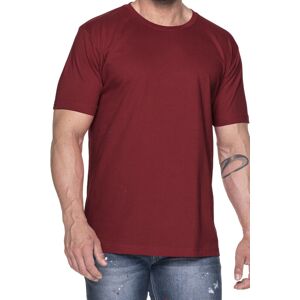 PROMOSTARS Pánske tričko T-shirt Heavy 21172 kaštanové M PROMOSTARS Pánske tričko T-shirt Heavy 21172 kaštanové M