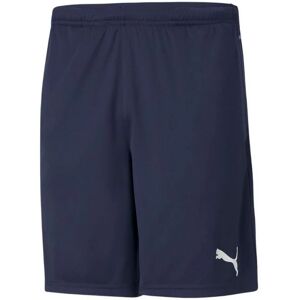 Pánske šortky teamRISE M 657336 06 - Puma L Pánske šortky teamRISE M 657336 06 - Puma L